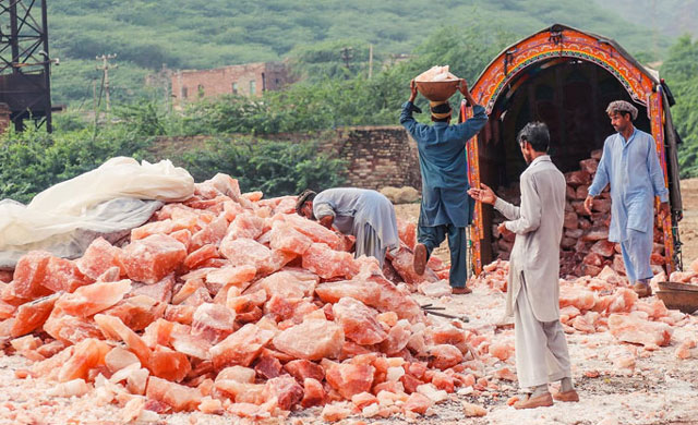 نمک کی برآمدات